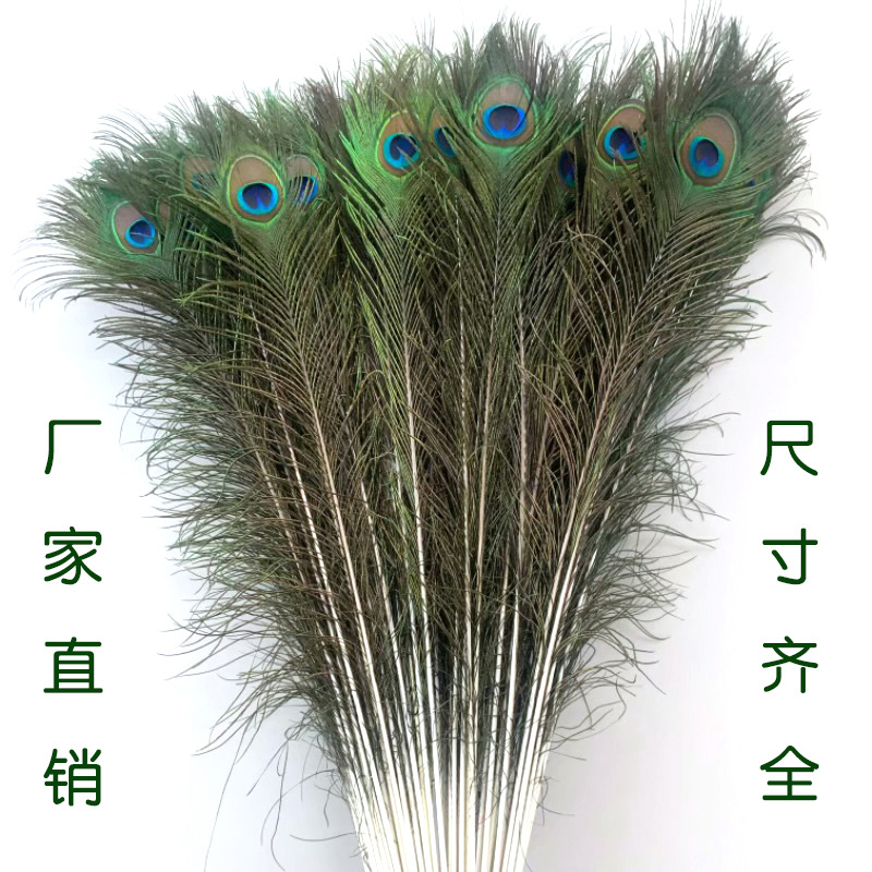 羽毛、羽绒实物图