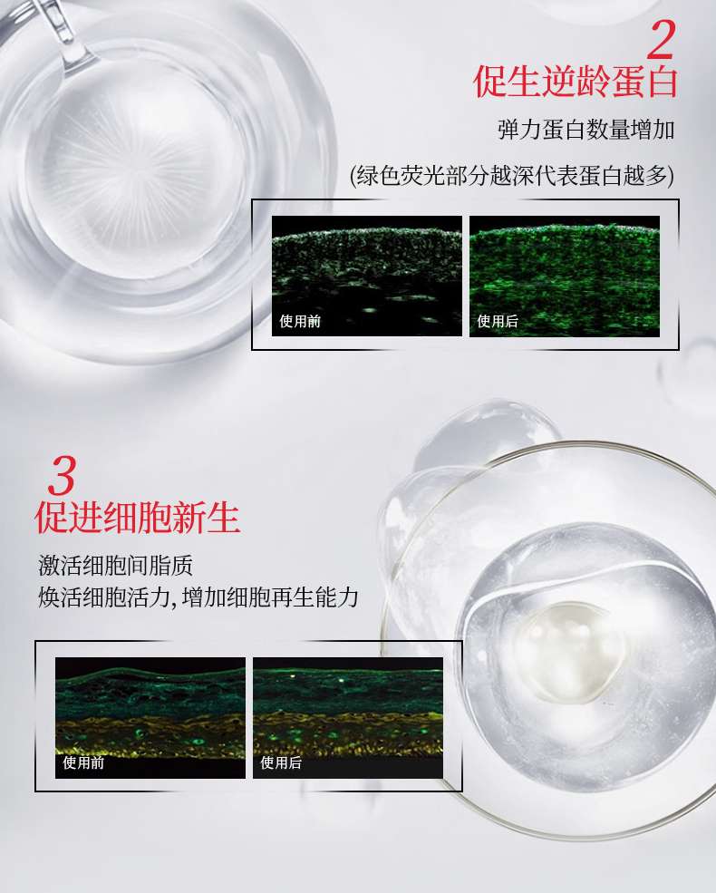 Tothallo White Blood Cell Collagen Supramolecular Revitalizing Cream detail image 12