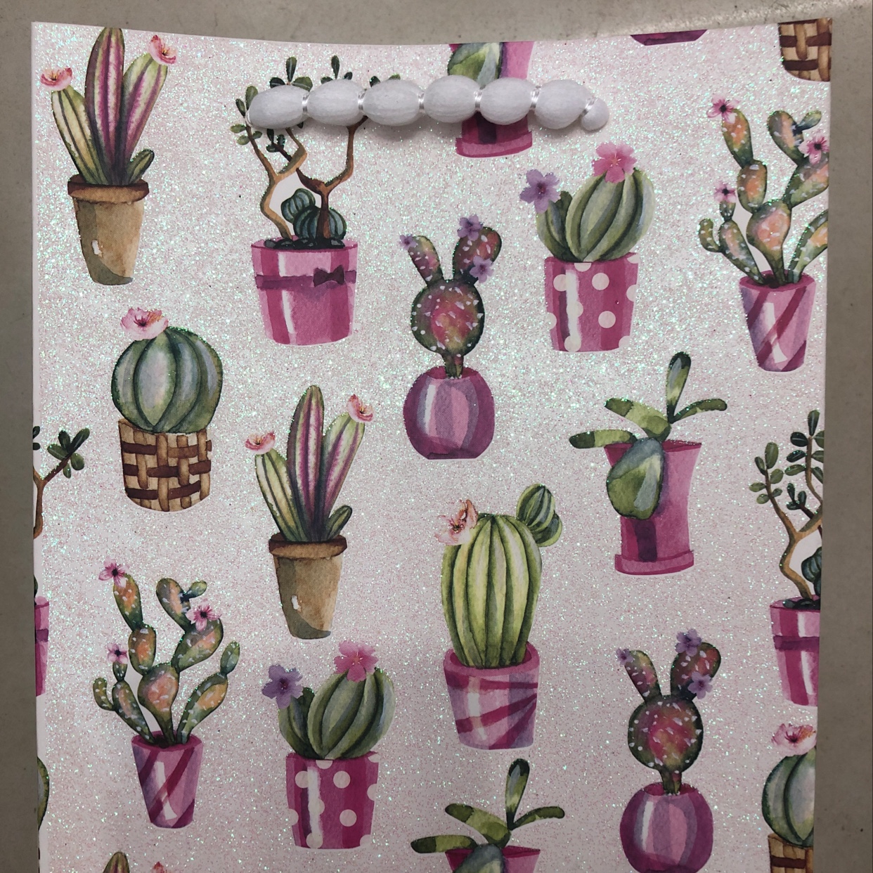 厂家直销跨境外贸纸袋礼品包装仙人掌礼品袋m