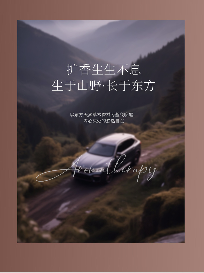 高档车载家居香薰批发 小众设计 植物精油配方 持久除臭去异味好物 车载香薰详情9
