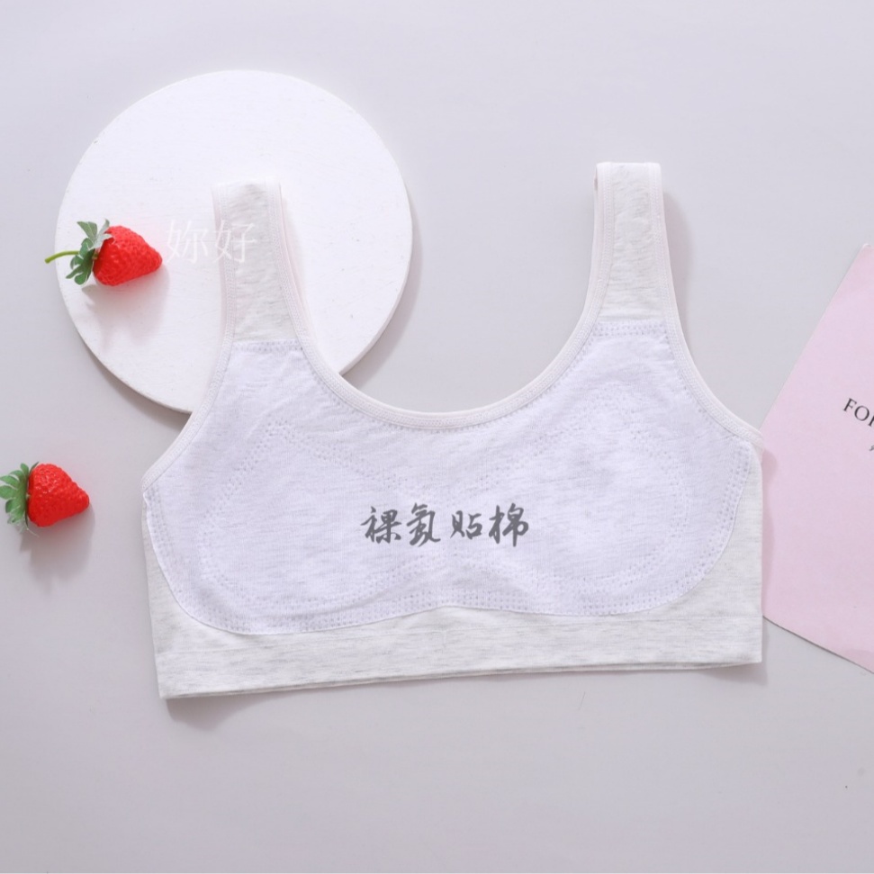 跨境内衣/聚拢胸罩/文胸/文胸内衣/面料细节图