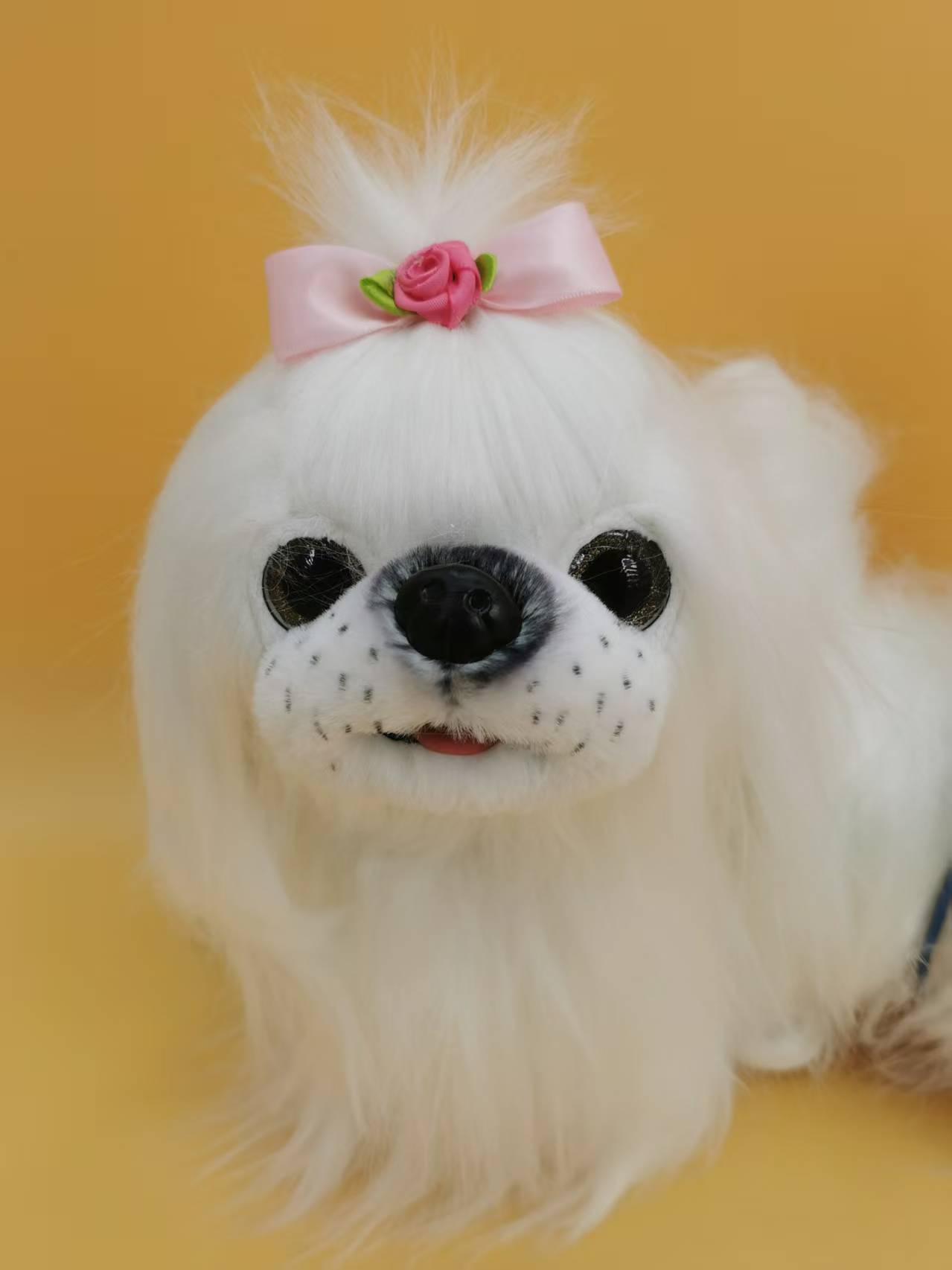 Electric leash Maltese, recording to capture beauty, singing super gently, and acting cute and innocent Specification image