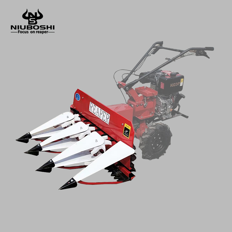 وتحصل المحاصيل، مثل الأرز والفلفل والقمح Specification image