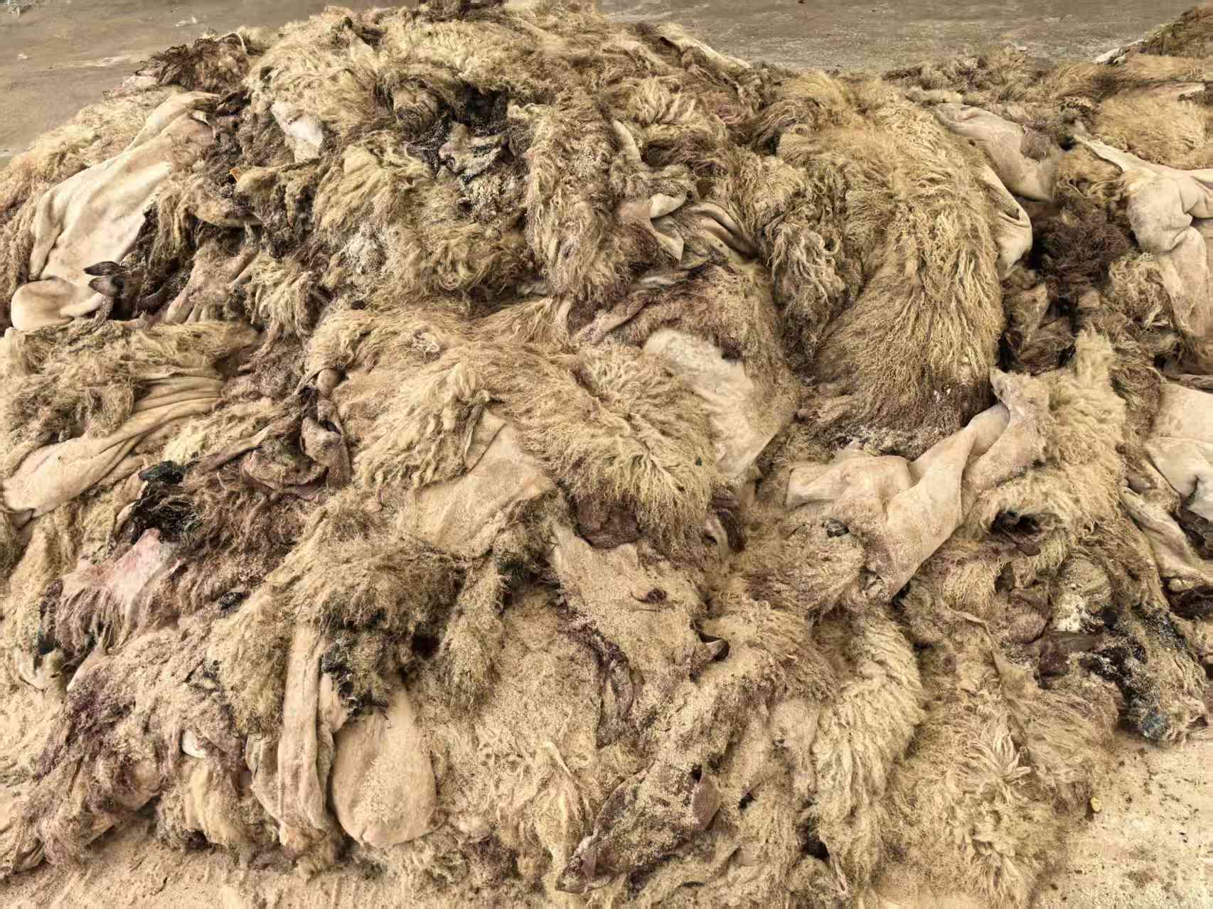 真羊毛皮抱枕 30*50详情7