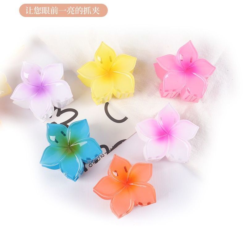 Best-selling gradient frangipani hairpin, female back head updo, shark hairpin, seaside vacation photo hairpin, light luxury Application Scenario