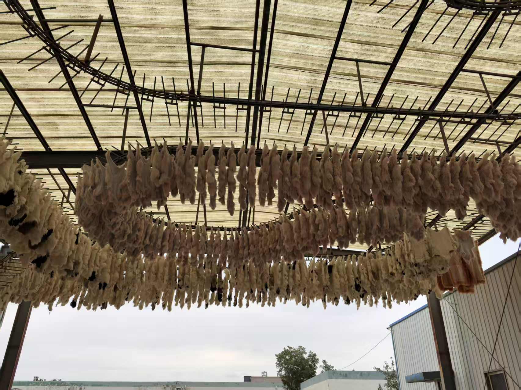 真羊毛皮抱枕 30*50详情6