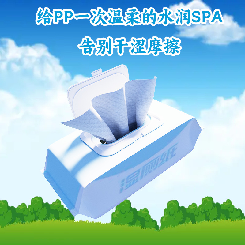 湿厕纸60片擦屁股湿巾家庭实惠装一次性湿巾亲肤云感湿纸巾洁厕纸