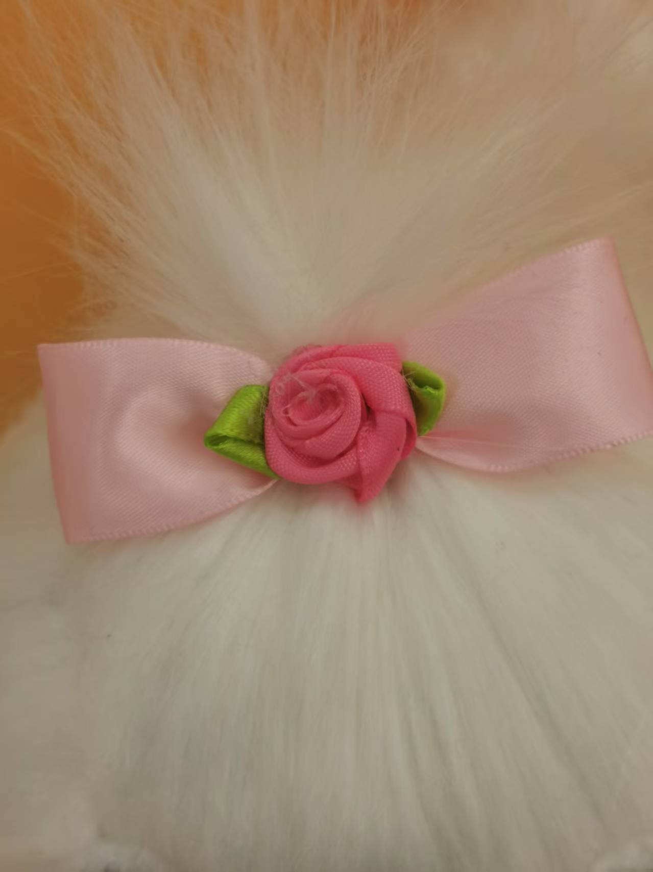 Electric leash Maltese, recording to capture beauty, singing super gently, and acting cute and innocent details Picture