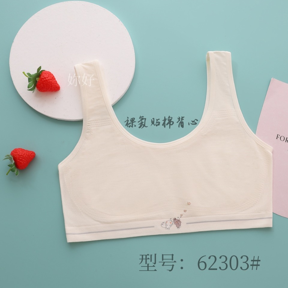 跨境内衣/聚拢胸罩/文胸/文胸内衣/面料产品图