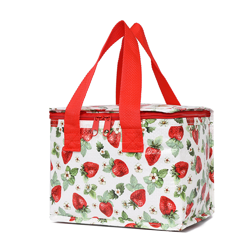 Ice packs, insulated packs, rice packs, lunch packs, outdoor packs, backpacks, mommy packs. Daily necessities