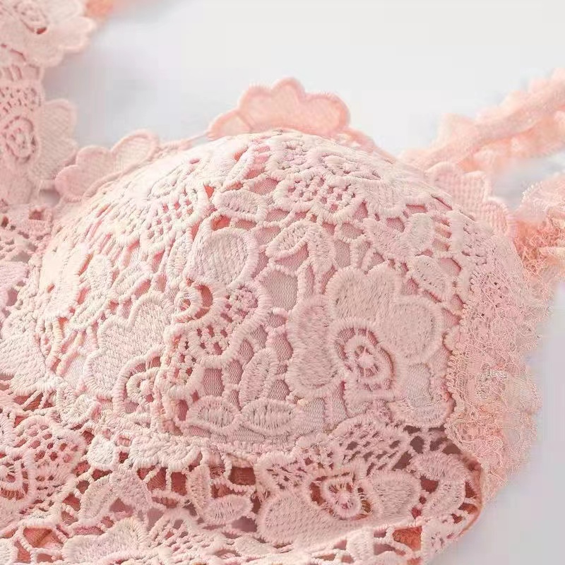 Cross-border underwear/French lace undefined