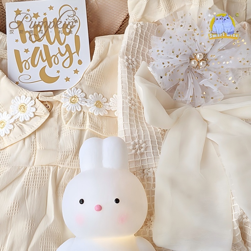 Baby gift box, beige dress set for newborn girl, wood-carved suitcase, 100th birthday greeting gift items Application Scenario