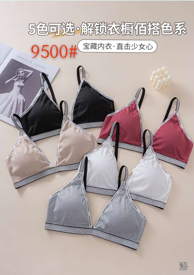Plus-size bra undefined