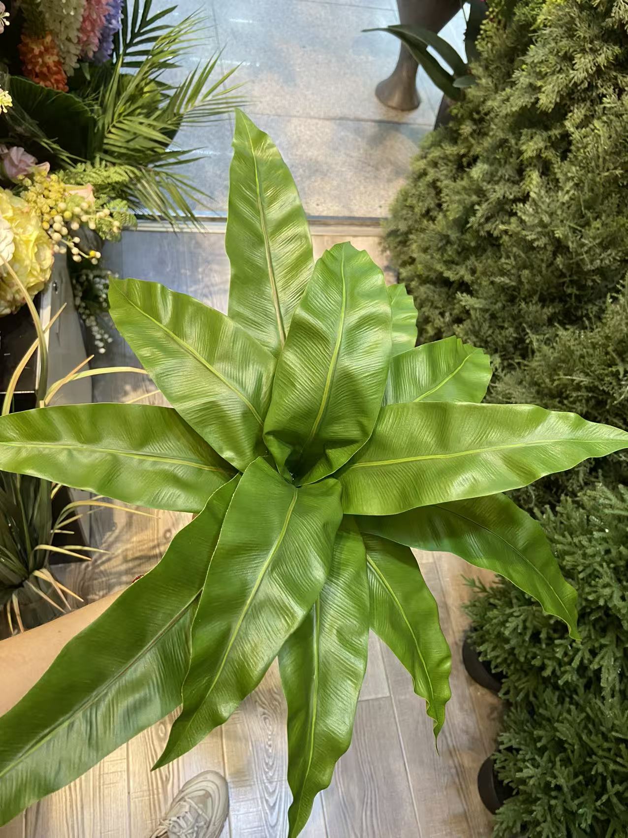 12 pieces of simulated fern plants, bird's Nest fern, fern grass, outdoor plant wall materials, wedding decoration flame Bird's nest fern Application Scenario