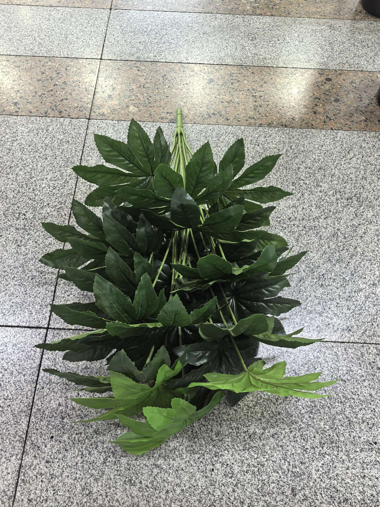 叶子，家庭，酒店，庭院装饰