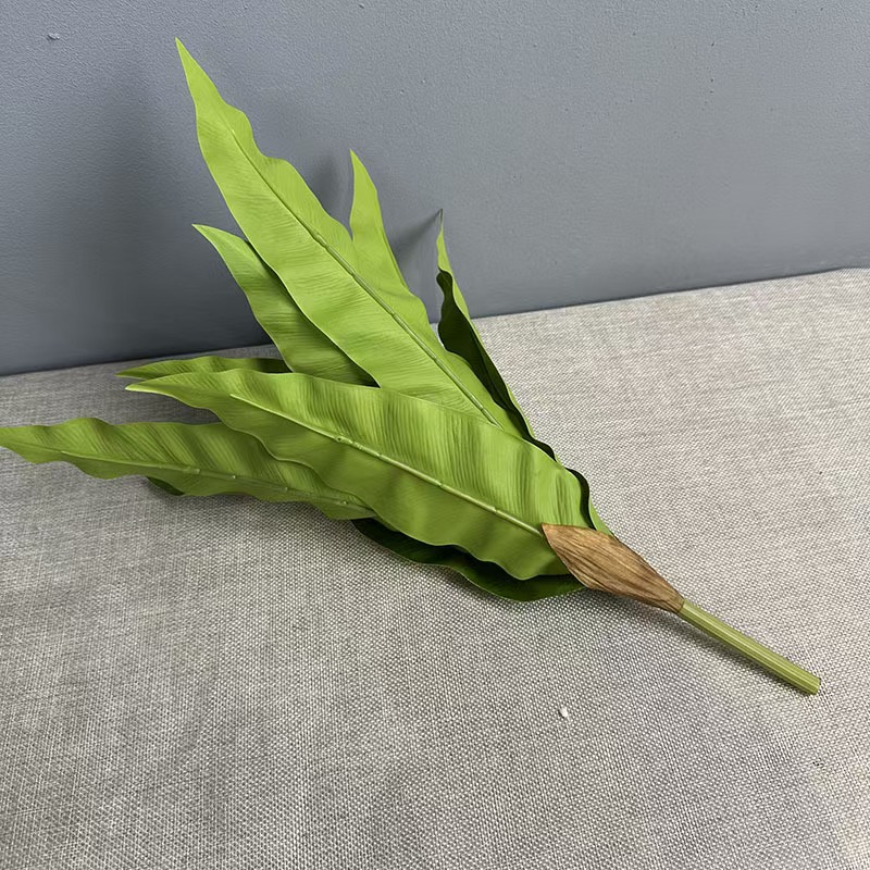 12 pieces of simulated fern plants, bird's Nest fern, fern grass, outdoor plant wall materials, wedding decoration flame Bird's nest fern Item Picture