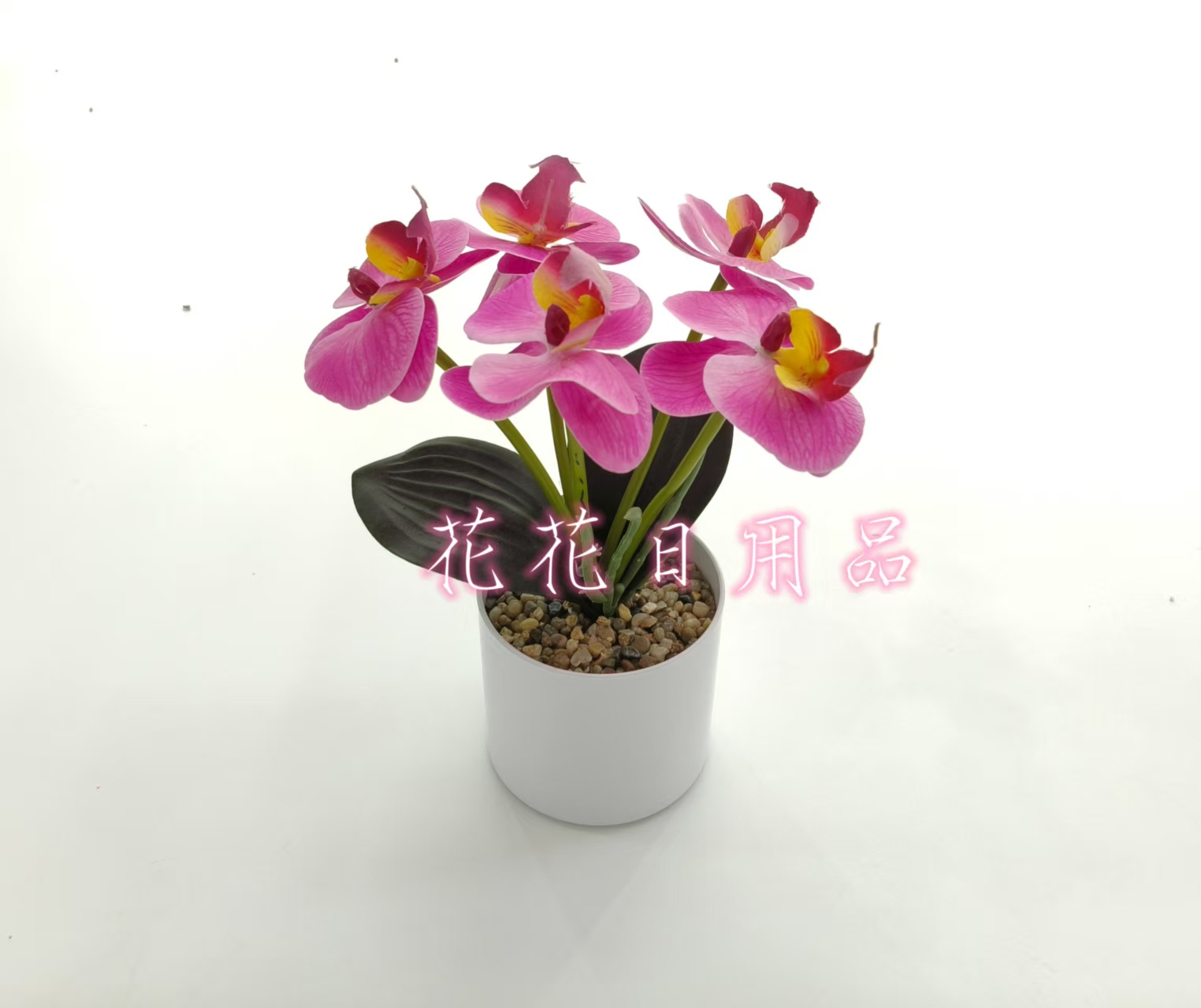 小盆栽/盆栽/盆栽摆件/仿真龟背竹/仿真金桔产品图