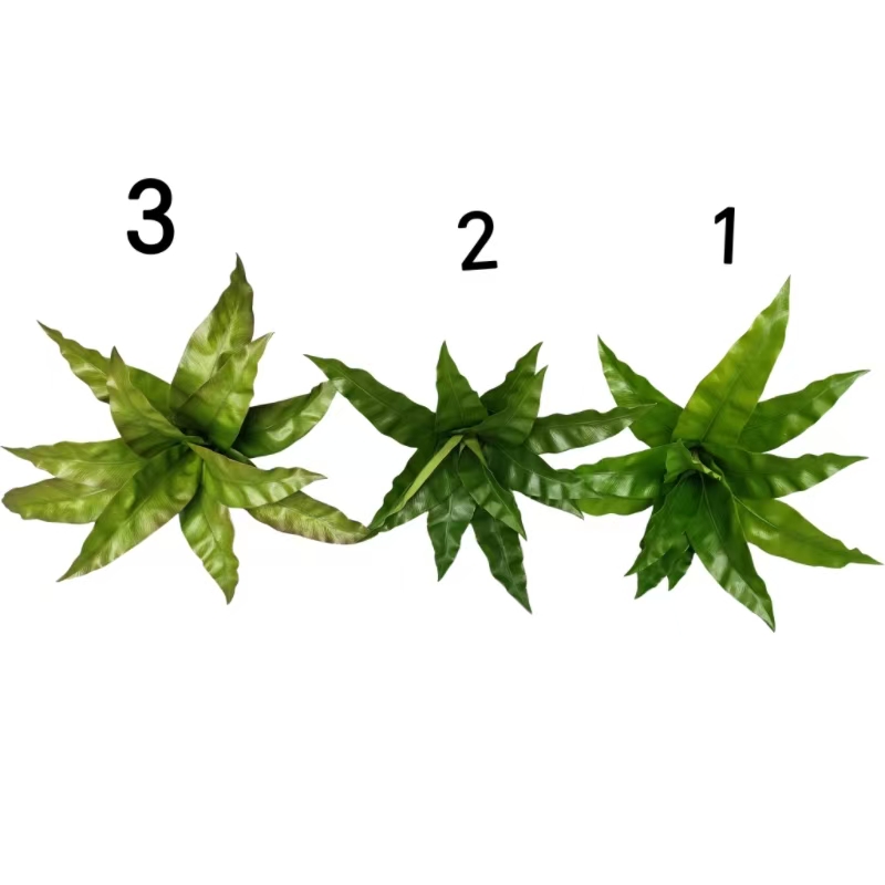 12 pieces of simulated fern plants, bird's Nest fern, fern grass, outdoor plant wall materials, wedding decoration flame Bird's nest fern details Picture