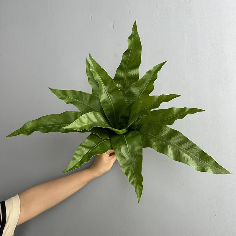 12 pieces of simulated fern plants, bird's Nest fern, fern grass, outdoor plant wall materials, wedding decoration flame Bird's nest fern Specification image