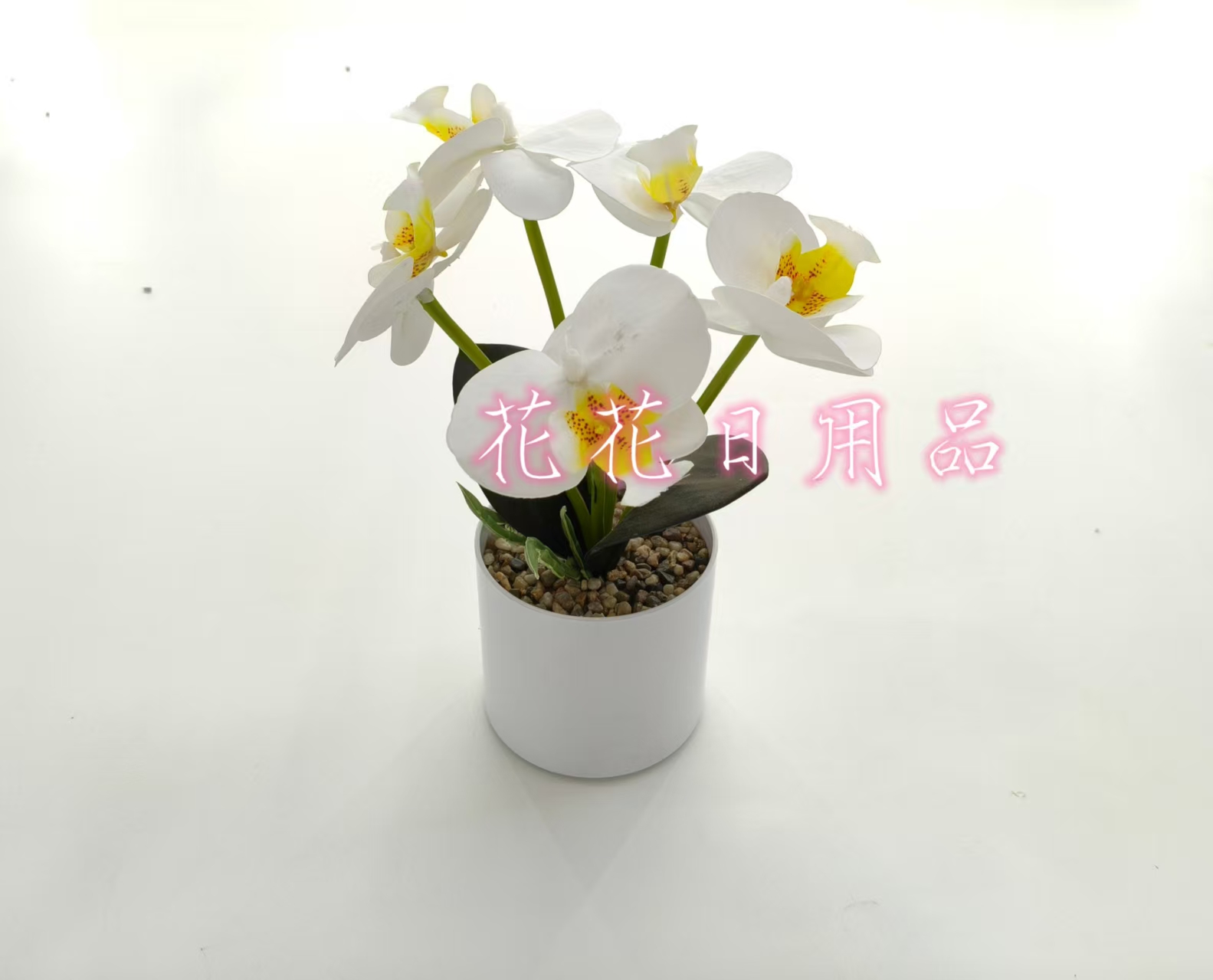 小盆栽/盆栽/盆栽摆件/仿真龟背竹/仿真金桔细节图