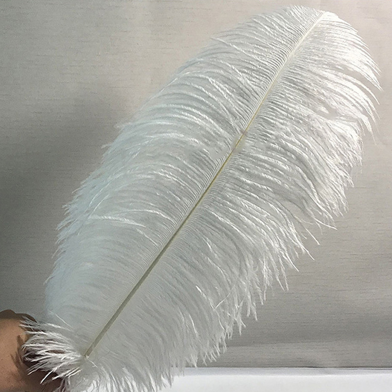 55cm鸵鸟毛装饰羽毛灯干花配件白色鸵鸟羽毛批发