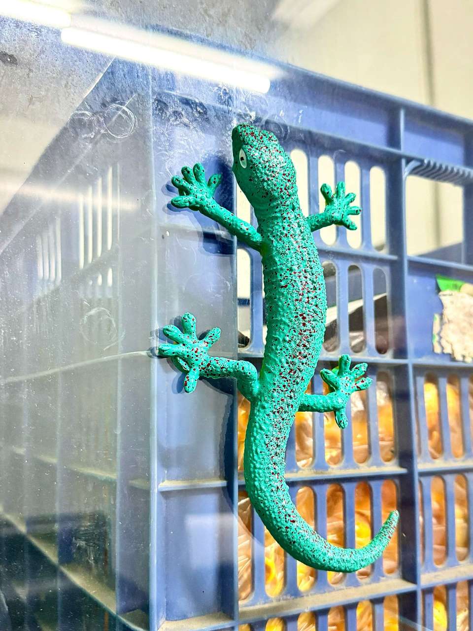 新奇特玩具减压放松心情趣味