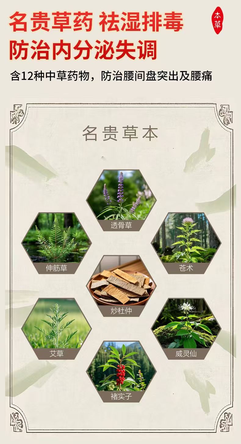 本草元气。背心产品图