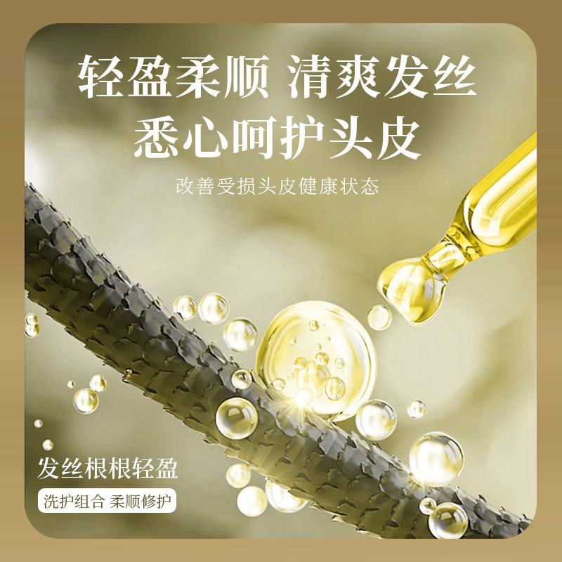 Jierou 600ml Golden Diamond Black Truffle Silky Smooth and Soothing Shampoo - Wholesale Home Care Oil-Control and Voluminous Shampoo detail image 5