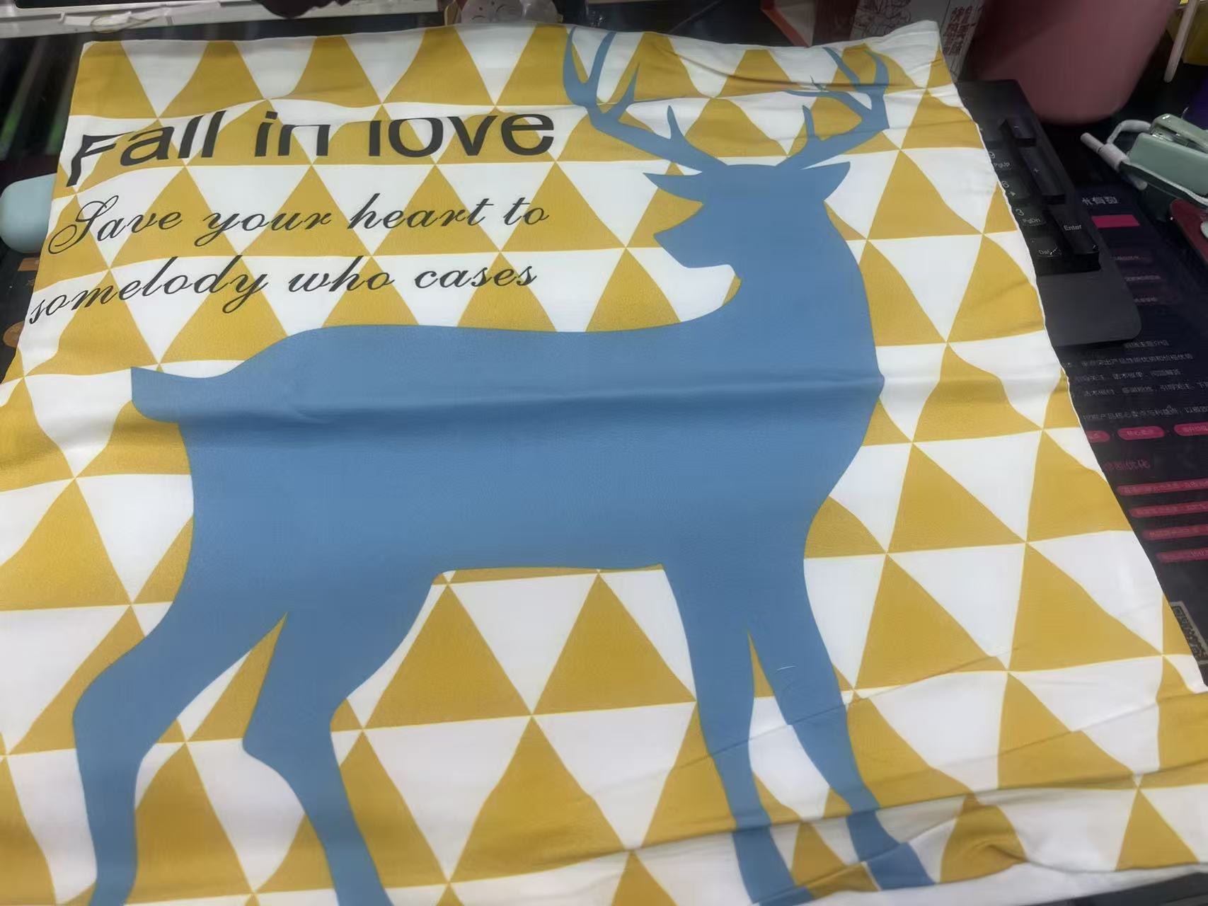 贝壳/海螺/风铃海螺壳/虾夷贝/贝壳花螺白底实物图