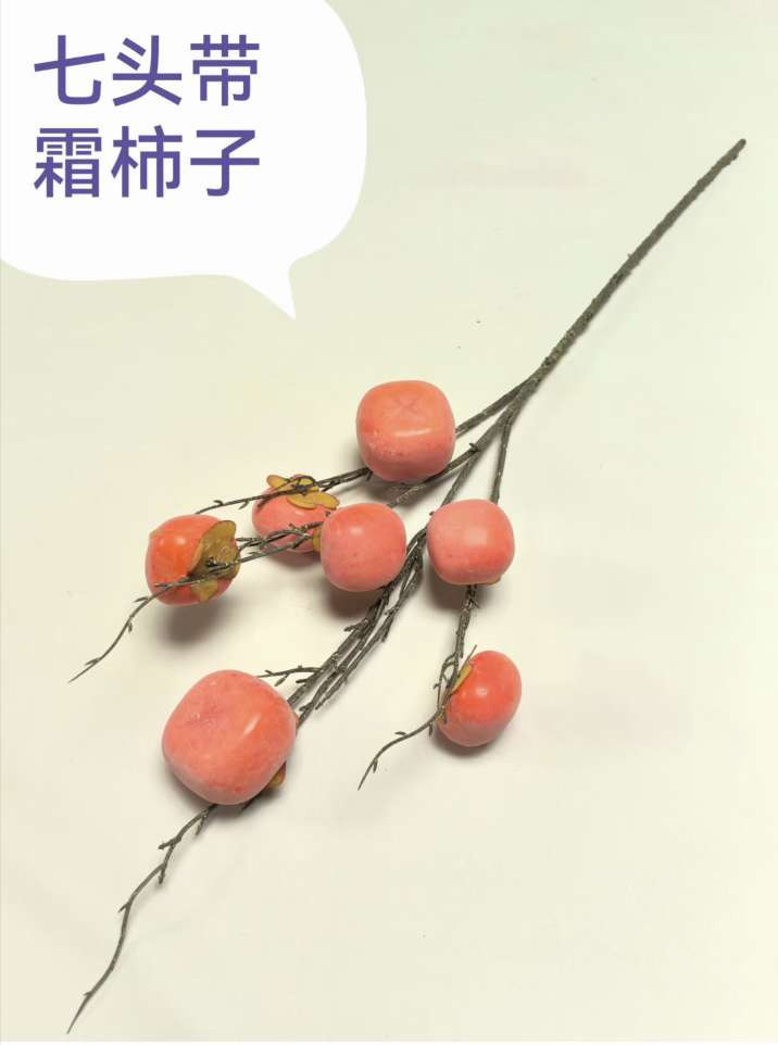 仿真工艺品水果蔬菜食物模型微缩糖果屋创意礼品缩微食玩装饰品仿真柿子枝仿真水果配件