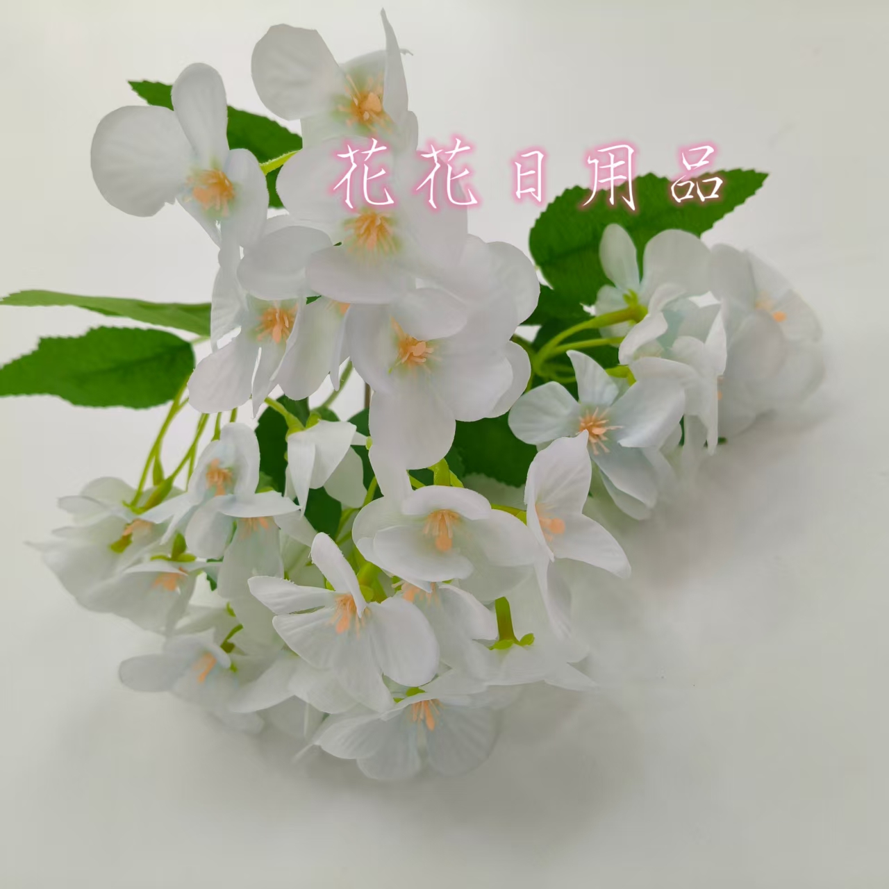 小盆栽/盆栽/盆栽摆件/仿真龟背竹/仿真金桔白底实物图