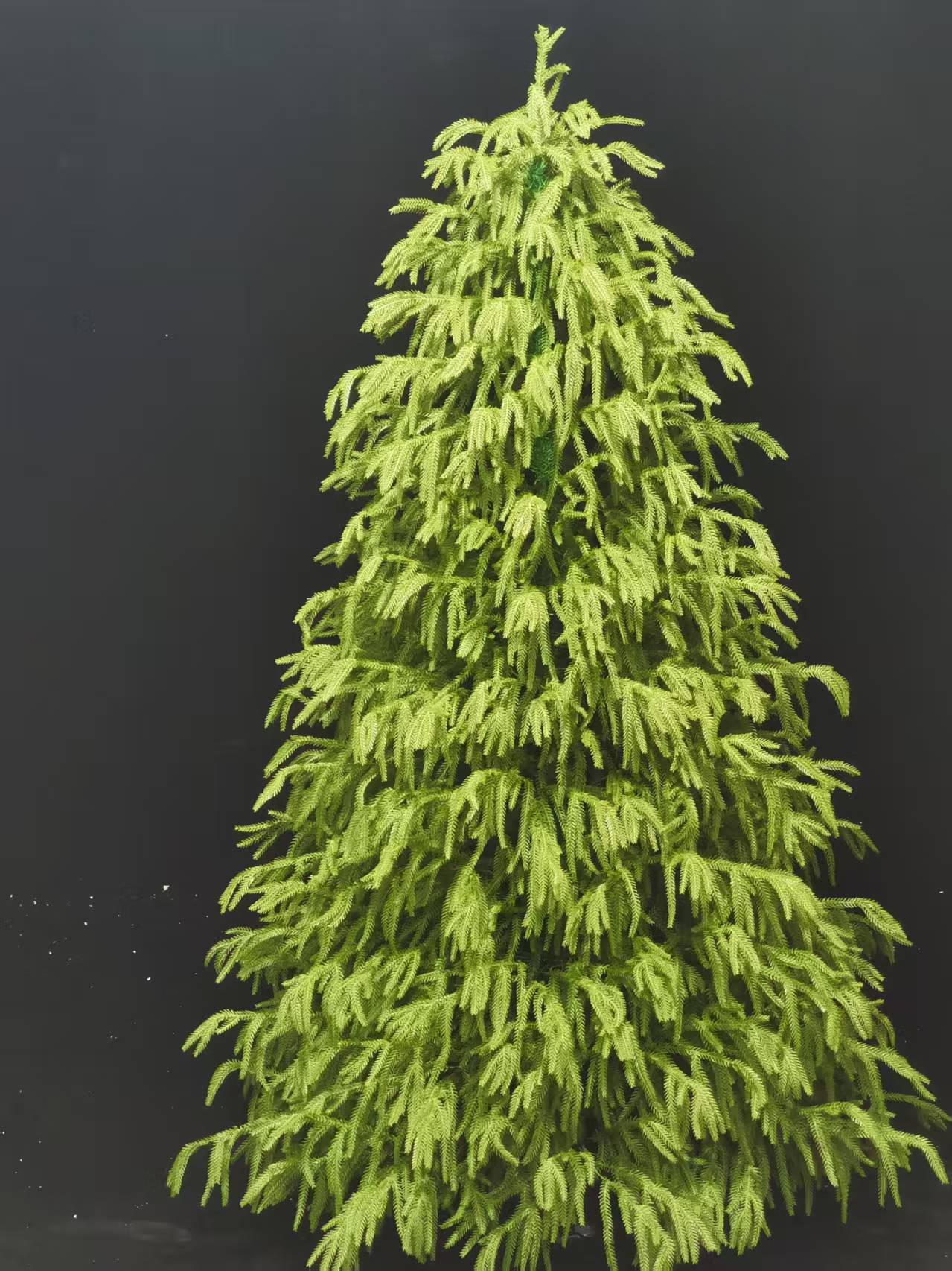 180CM柳叶软PE圣诞树圣诞用品