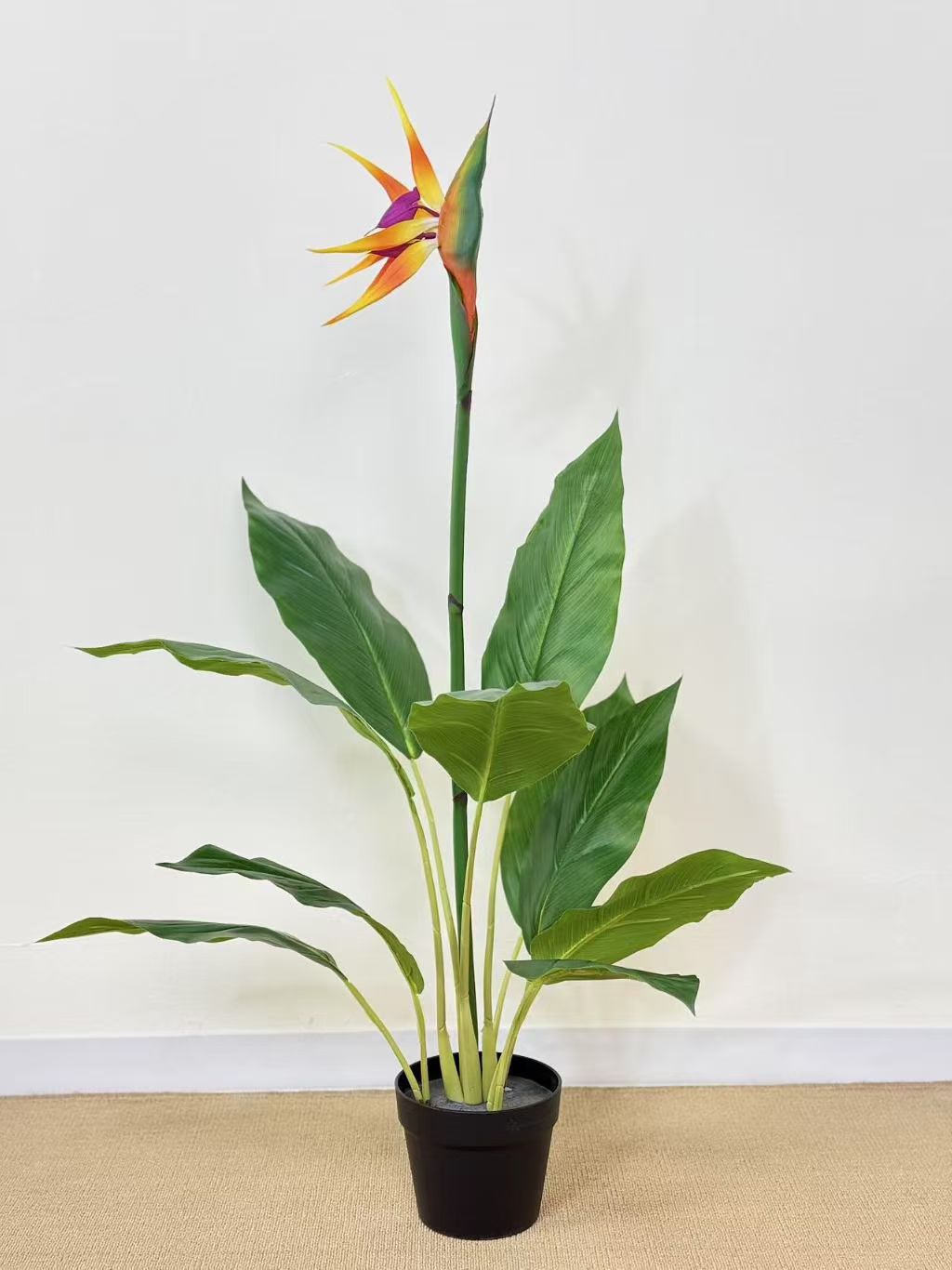 办公仿真植物文化园艺人造树葵树柠檬栽仿真花装饰摆件仿真植物