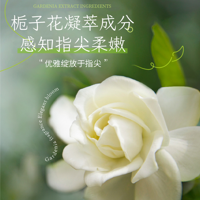 Plant essence large-capacity hand cream, Gardenia long-lasting Fragrance Essential Oil, Vitamin E Urea Moisturizing and Nourishing Hand cream Item Picture