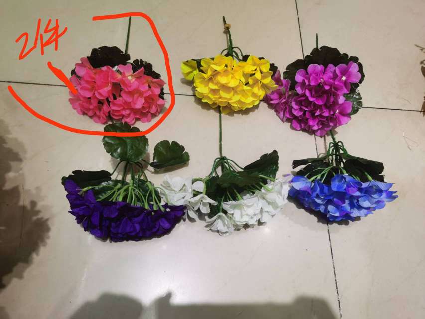 园林植物蕨类植物人工盆栽宠物友好室内绿植装饰景观绿化用品
