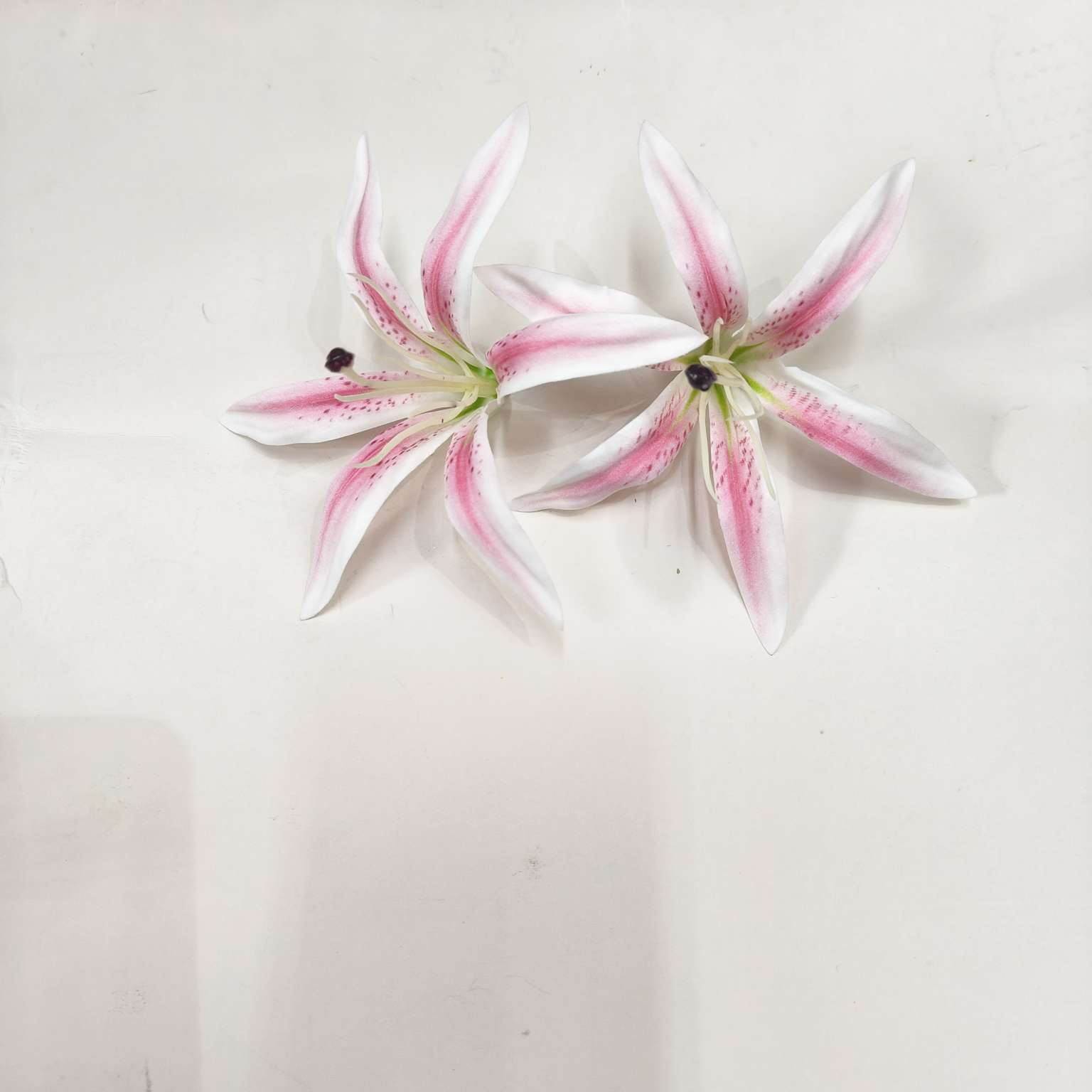 Simulated handicrafts: Spring Garden, plastic petals, simulated flowers, silicone artificial flowers, simulated flowers Application Scenario