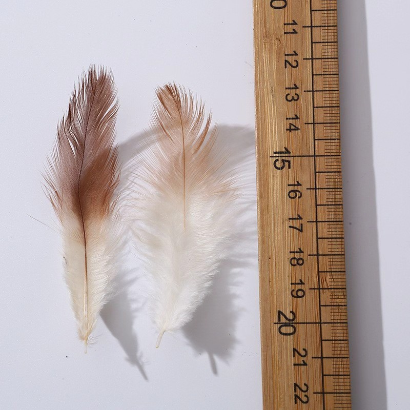 逗猫棒羽毛纺织原料羽毛羽绒火鸡毛鸵鸟毛红尖野鸡毛饰品装饰