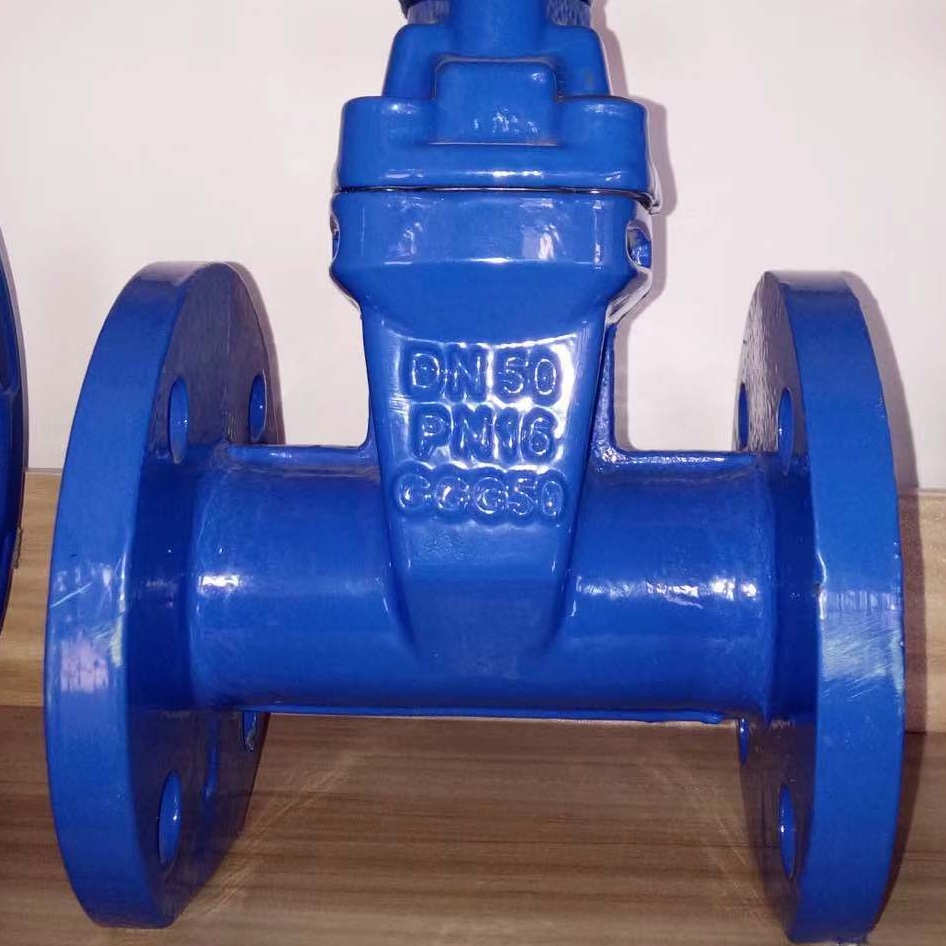 Valve Soft seal 2 pic 2