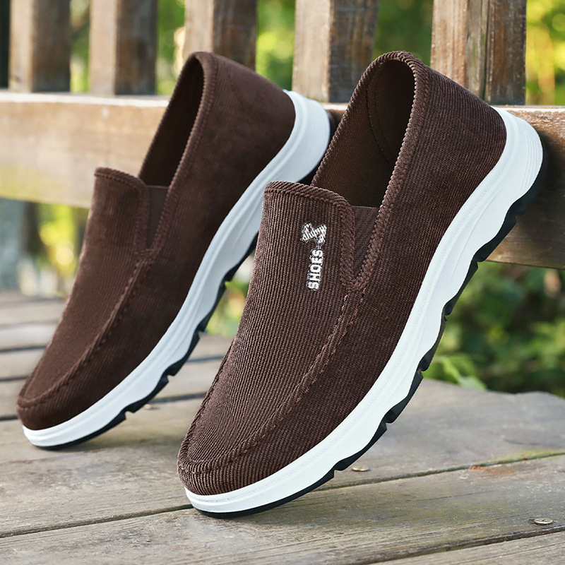 Men's shoes 2025 Autumn New style distribution Men's shoes, casual canvas shoes, one-foot dad shoes, comfortable single shoes wholesale full figure