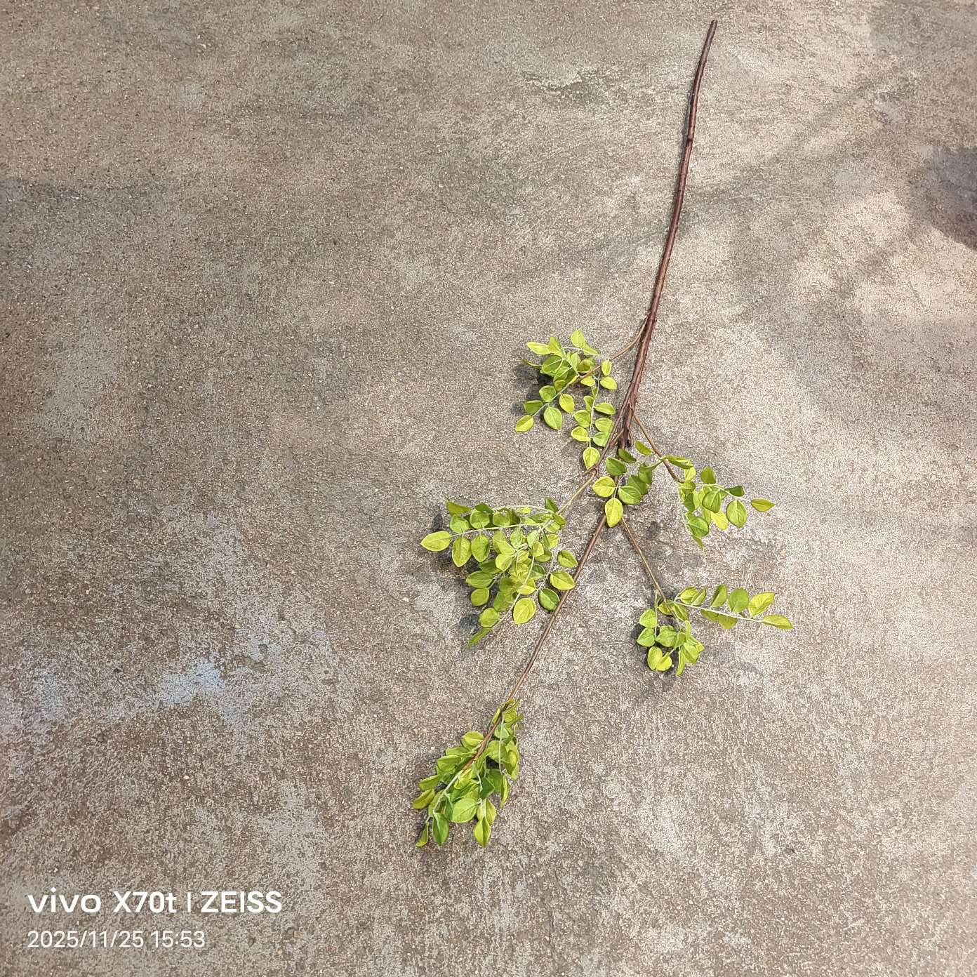 仿真工艺品春天花园塑胶花瓣人造花绢布花用于礼品装饰