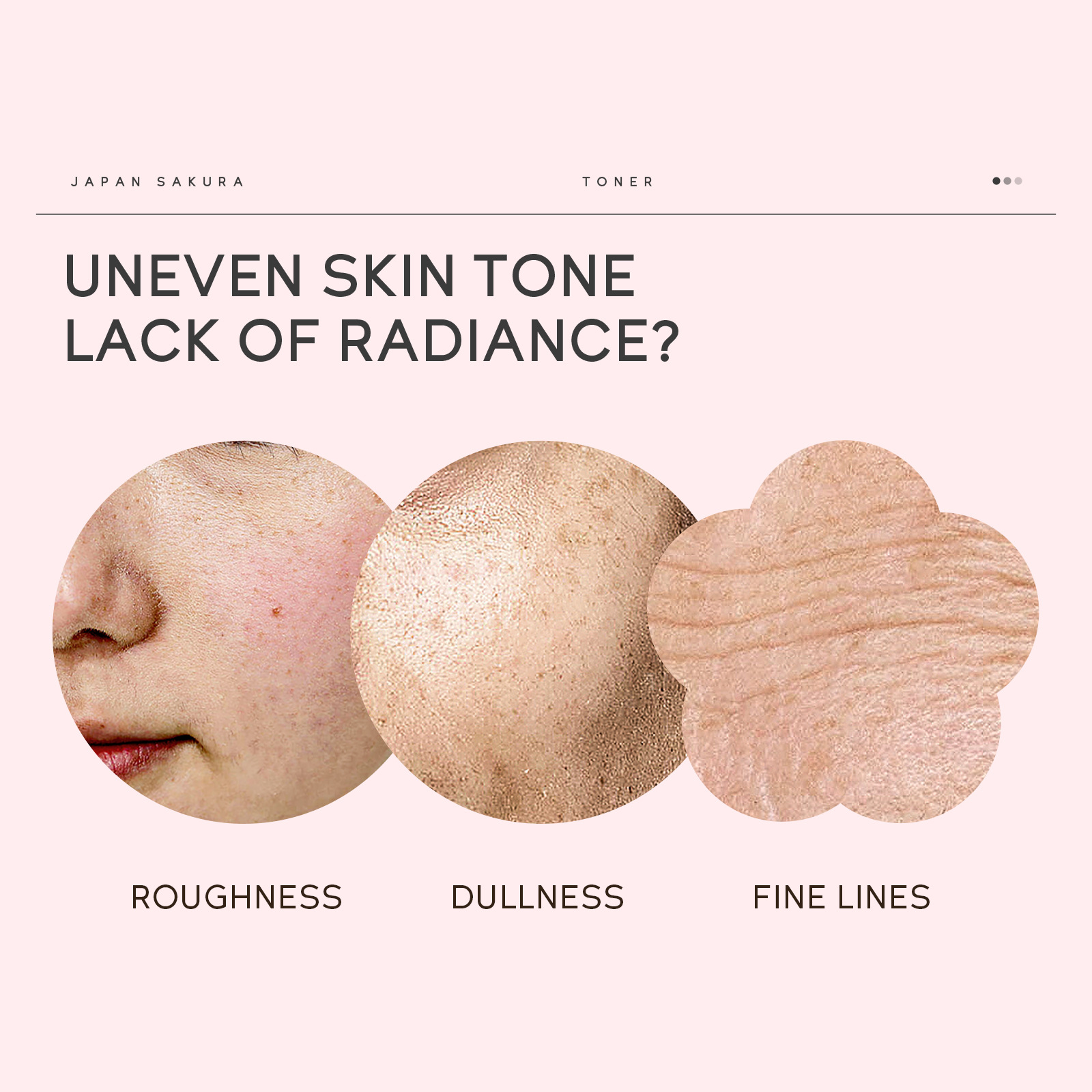 Cross-border Laiko Sakura Nicotinamide Malay Series Toner and Wet Compress 100ml All-English foreign trade skin care products details Picture