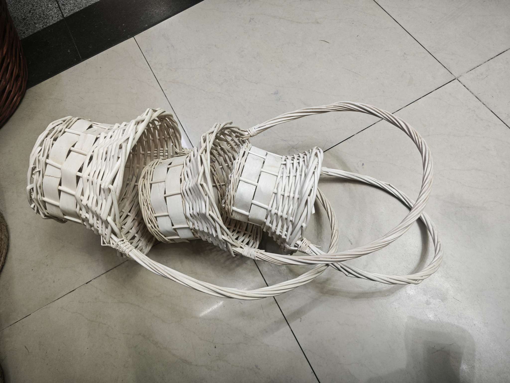 植物工艺品实物图