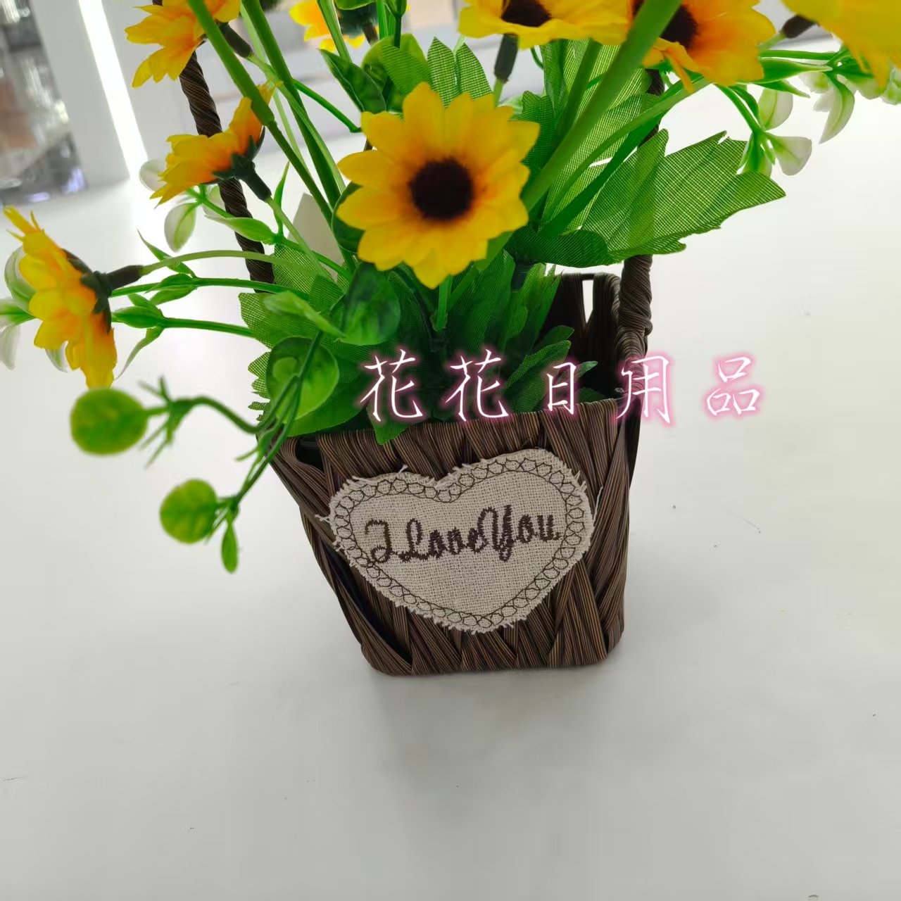 小盆栽/盆栽/盆栽摆件/仿真龟背竹/仿真金桔白底实物图
