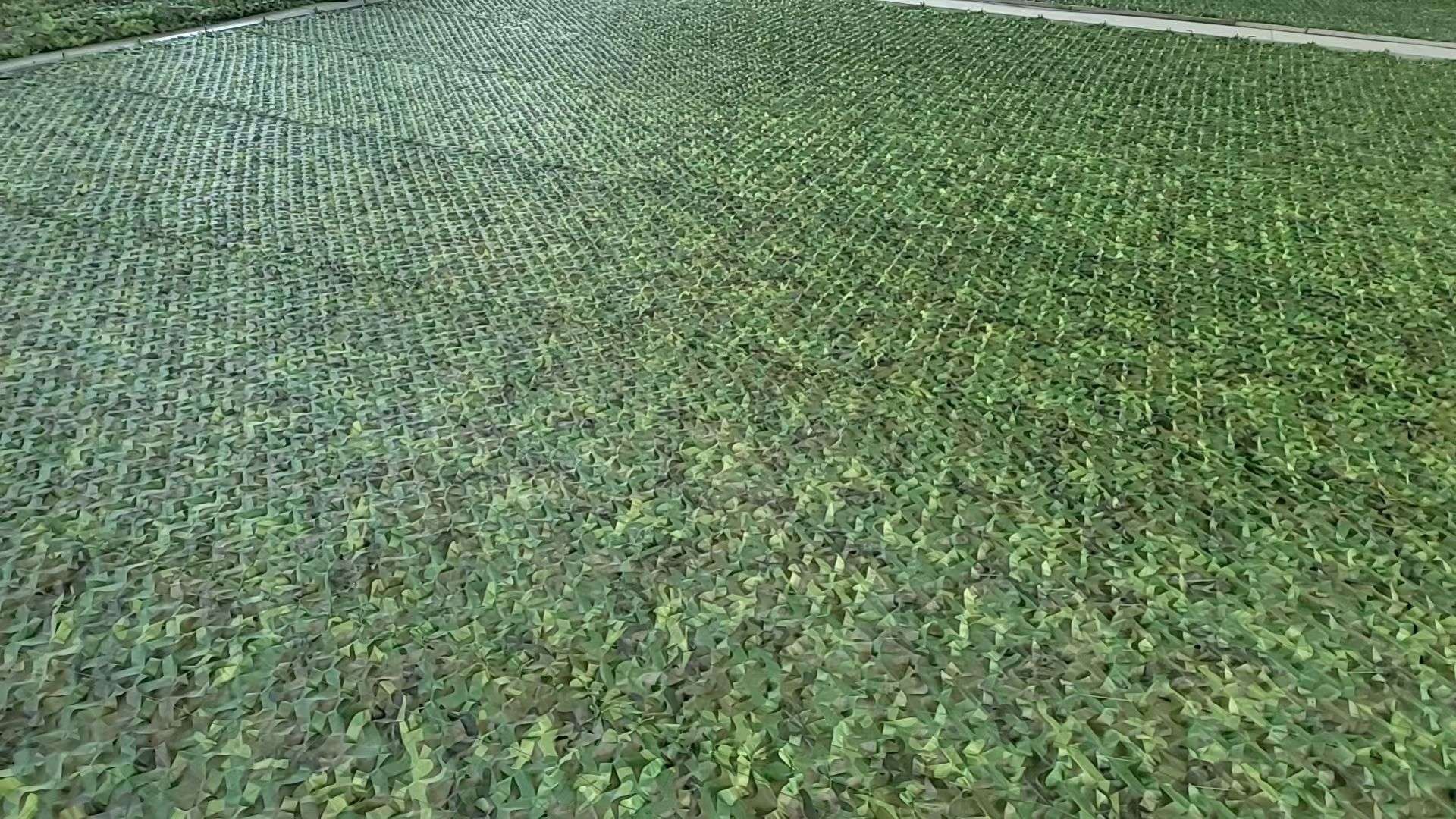 网、伪装网，遮阳网，航拍网