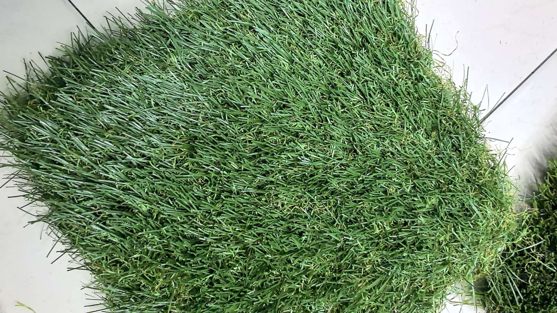 塑料工艺品实物图