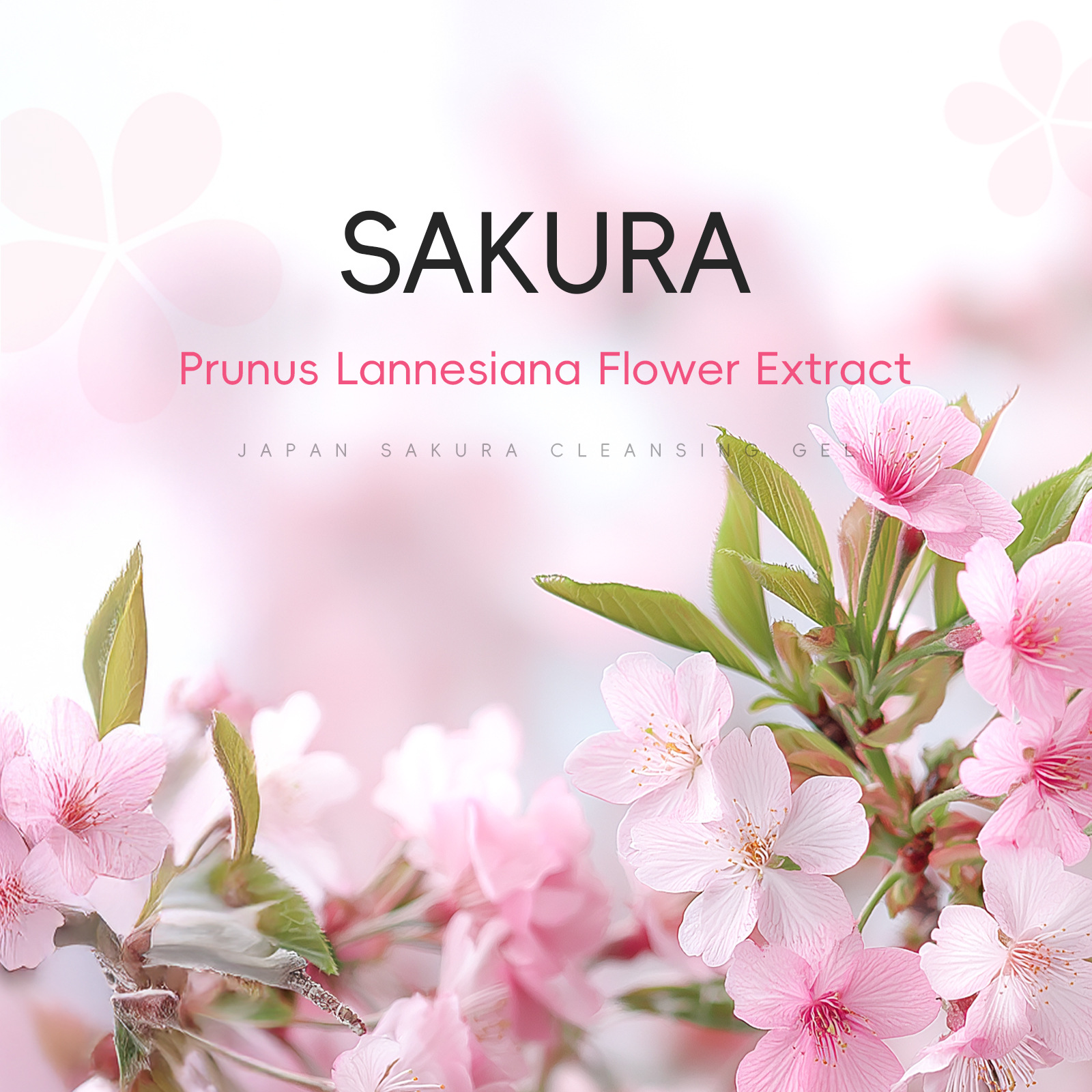 Laikou Sakura Cross-border Exfoliating Gel (temu Version) 60g Hydrating, Moisturizing, Cleansing for Export Skin care Application Scenario