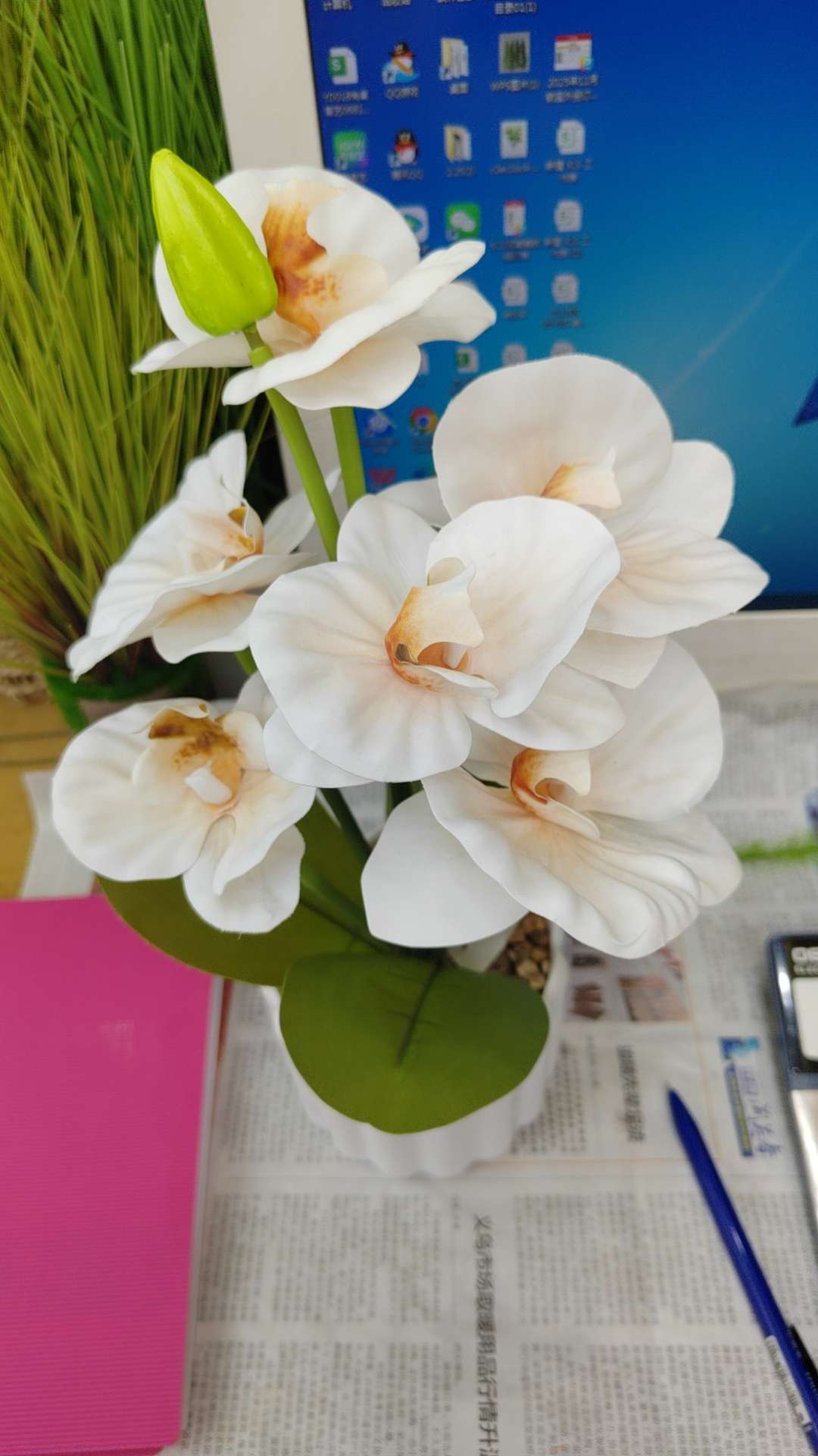 办公文化仿真园艺花礼盒毛线钩织簪花毛线花装饰品毛线钩织品仿真花白底实物图