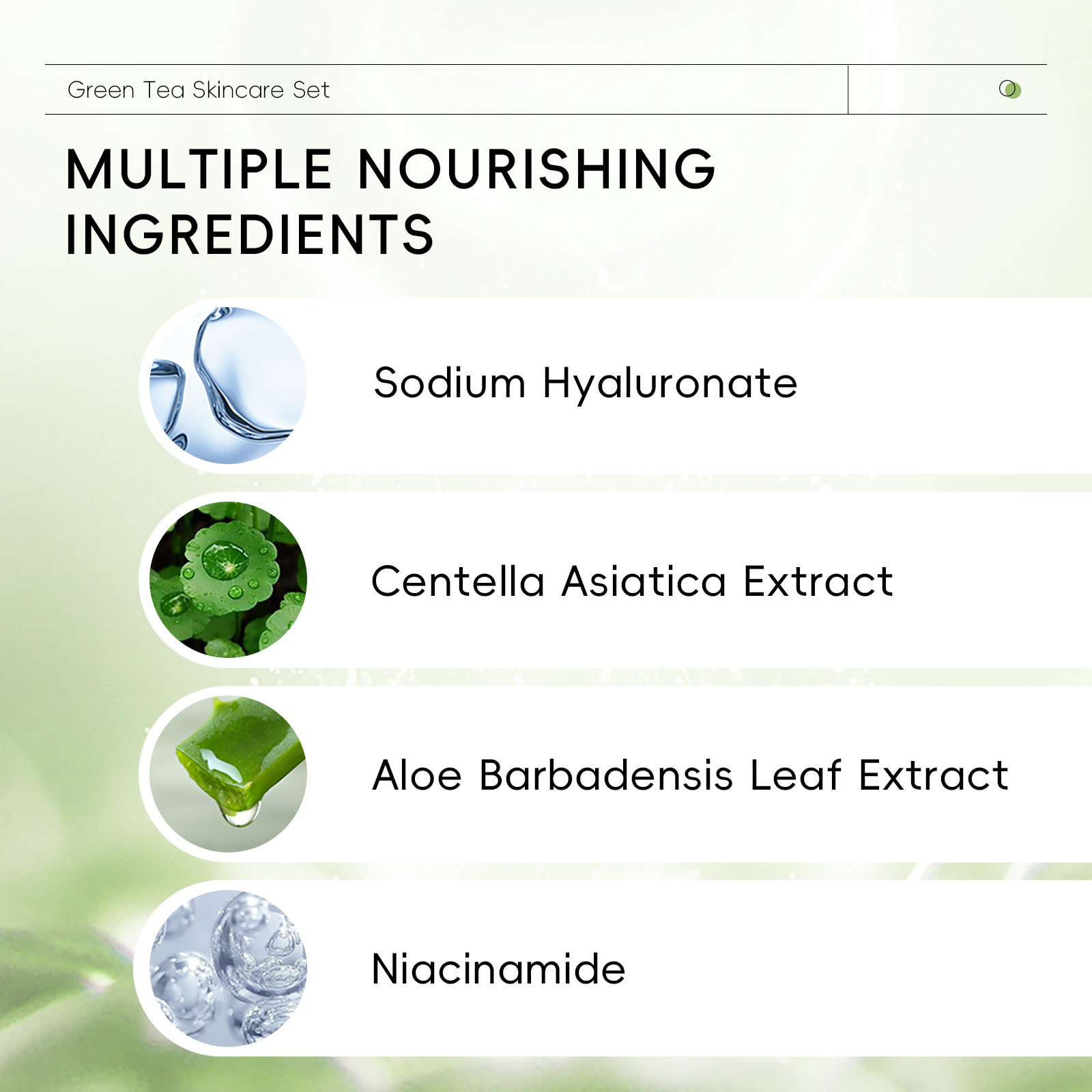 Cross-border skin care product set: 5 pieces of green tea, 50g of shampoo + 100ml of water + 25g of face cream + 15g of eye cream + 17ml of essence Application Scenario