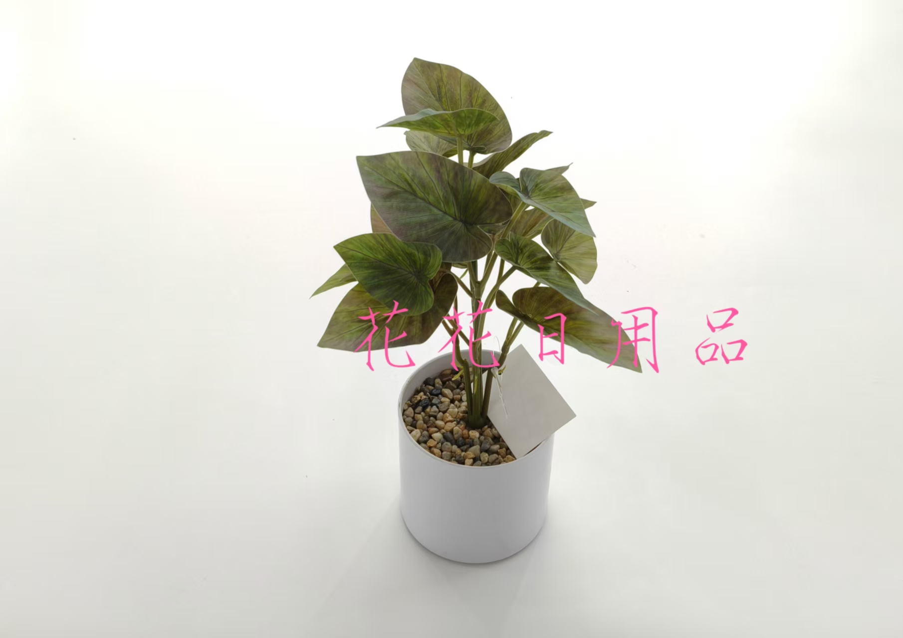 小盆栽/盆栽/盆栽摆件/仿真龟背竹/仿真金桔细节图