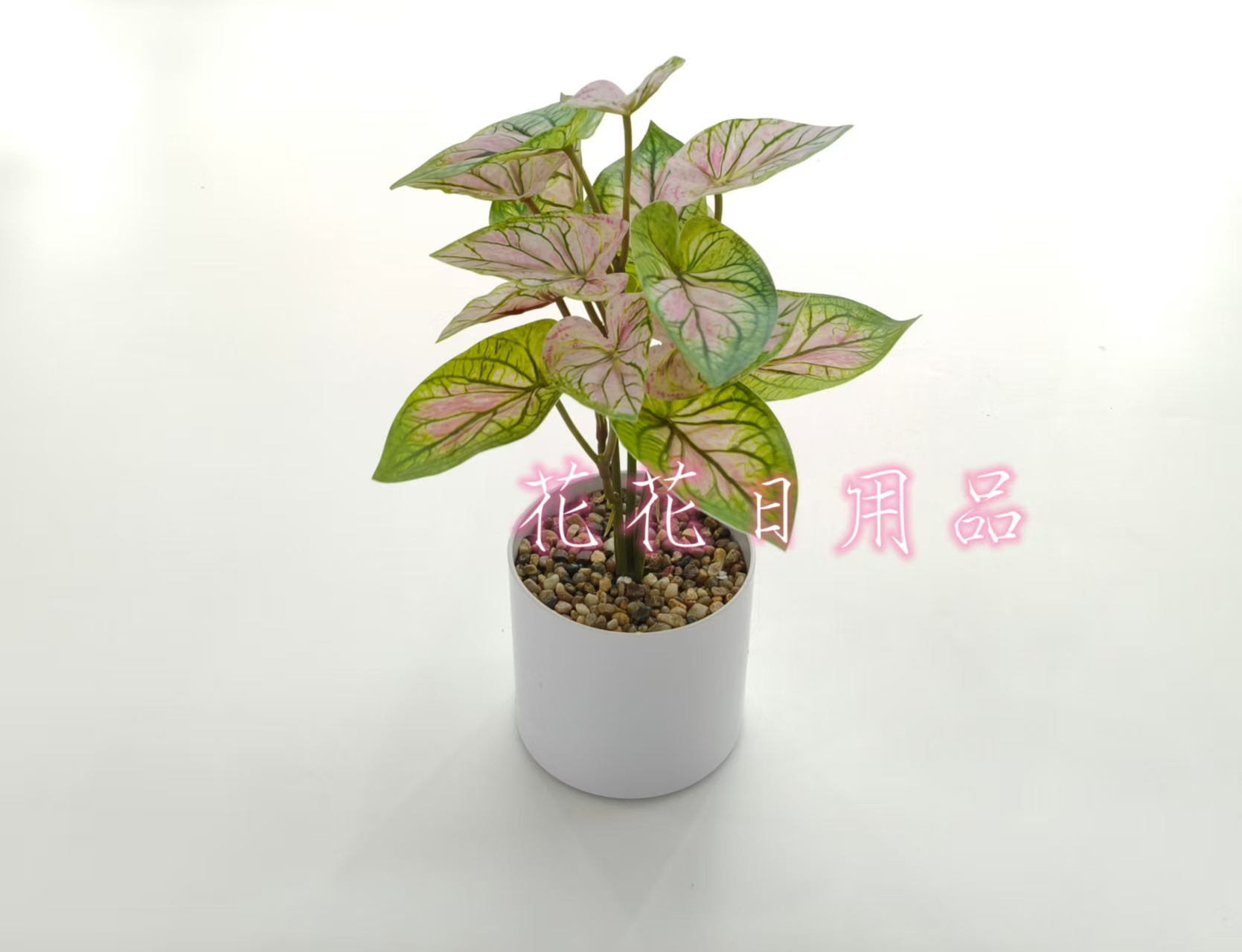 小盆栽/盆栽/盆栽摆件/仿真龟背竹/仿真金桔产品图